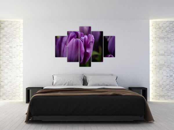 Tulipán vírág képe (150x105 cm)