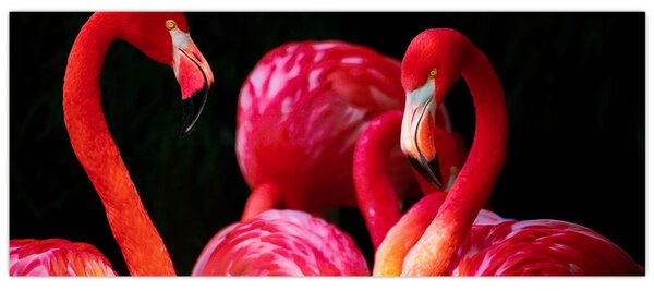 Vörös flamingók képe (120x50 cm)