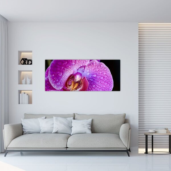 Részletes kép az orchidea virágról (120x50 cm)