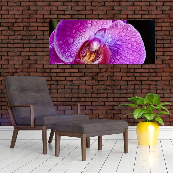 Részletes kép az orchidea virágról (120x50 cm)
