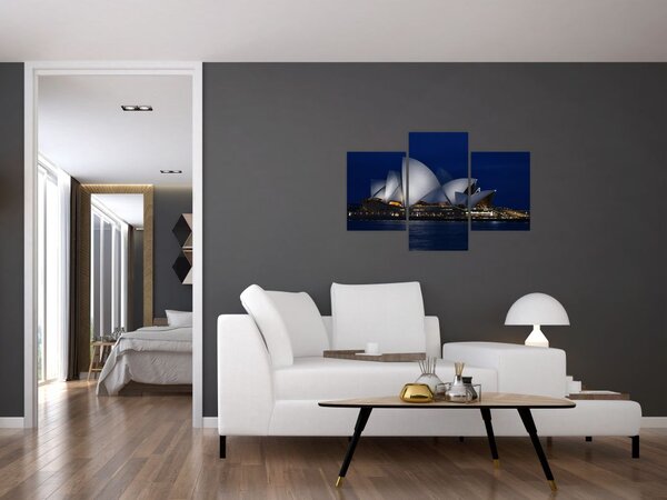 Sydney éjszakai kép (90x60 cm)