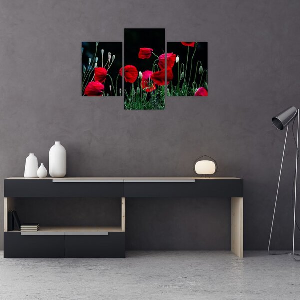 Kép - Pipacsok tánca (90x60 cm)