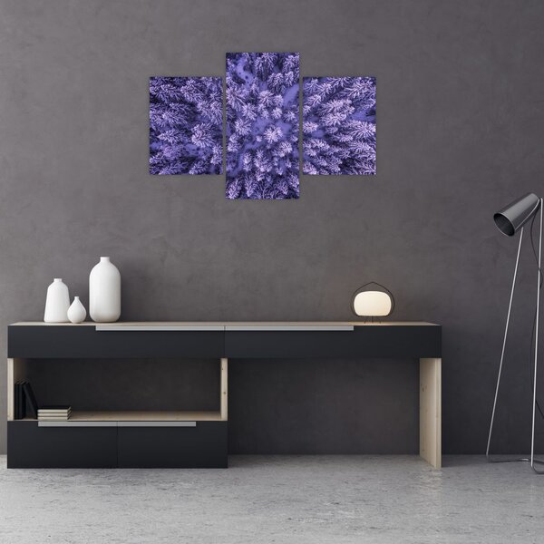 Havas fák képe (90x60 cm)