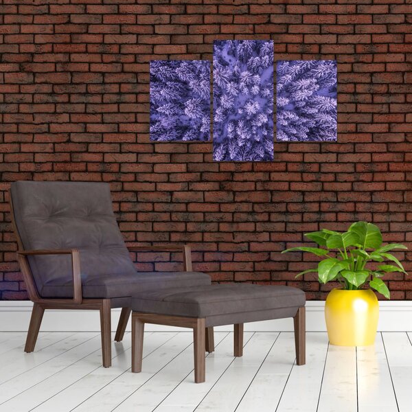 Havas fák képe (90x60 cm)