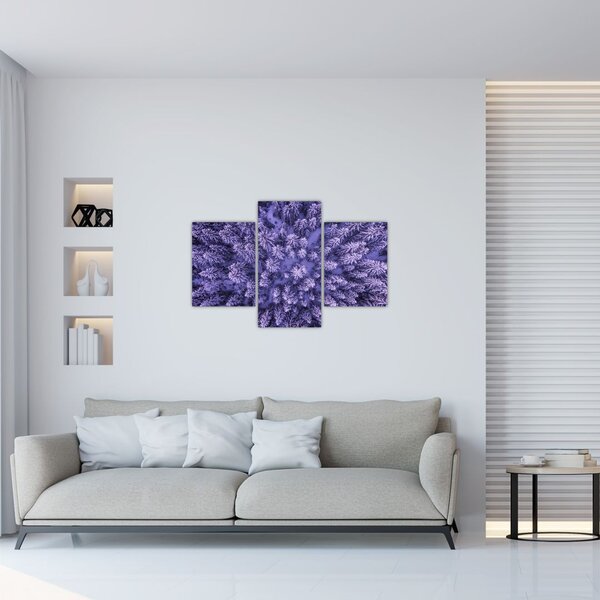 Havas fák képe (90x60 cm)