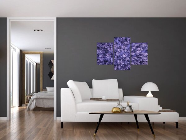 Havas fák képe (90x60 cm)
