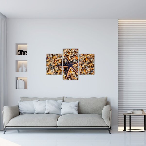 Egy tengeri csillag képe (90x60 cm)