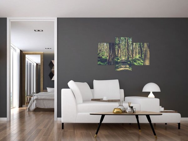 Kép egy út a fák között (90x60 cm)
