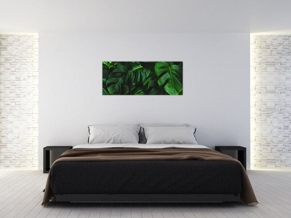 Monstery levelek képe (120x50 cm)