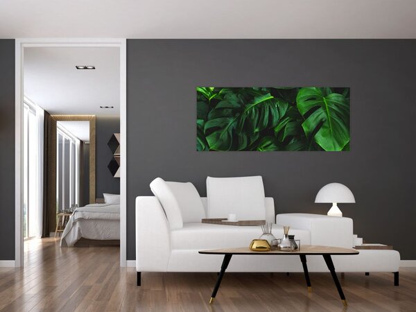 Monstery levelek képe (120x50 cm)