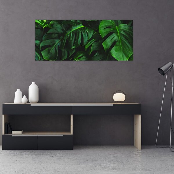 Monstery levelek képe (120x50 cm)