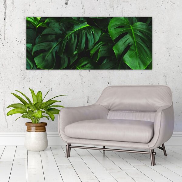 Monstery levelek képe (120x50 cm)