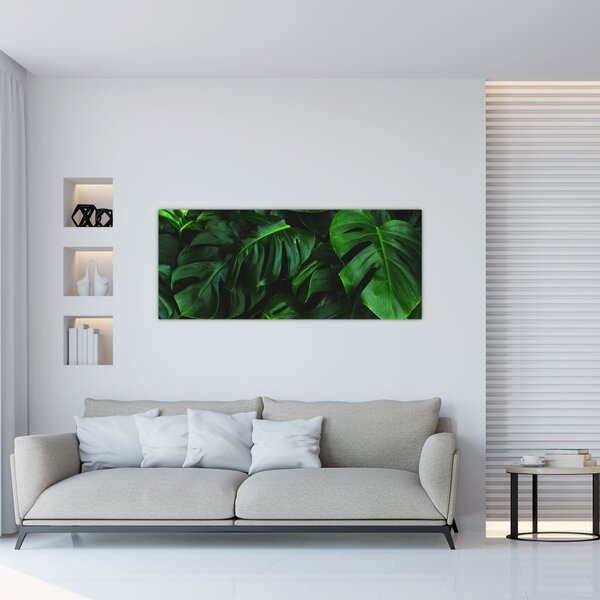 Monstery levelek képe (120x50 cm)