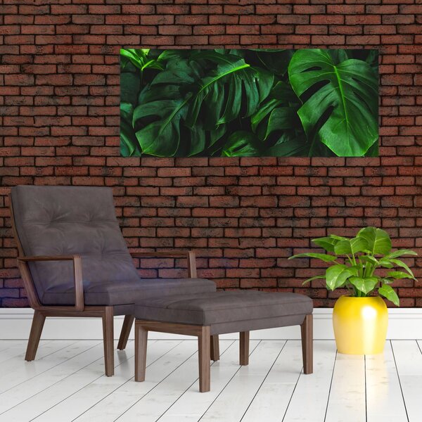 Monstery levelek képe (120x50 cm)