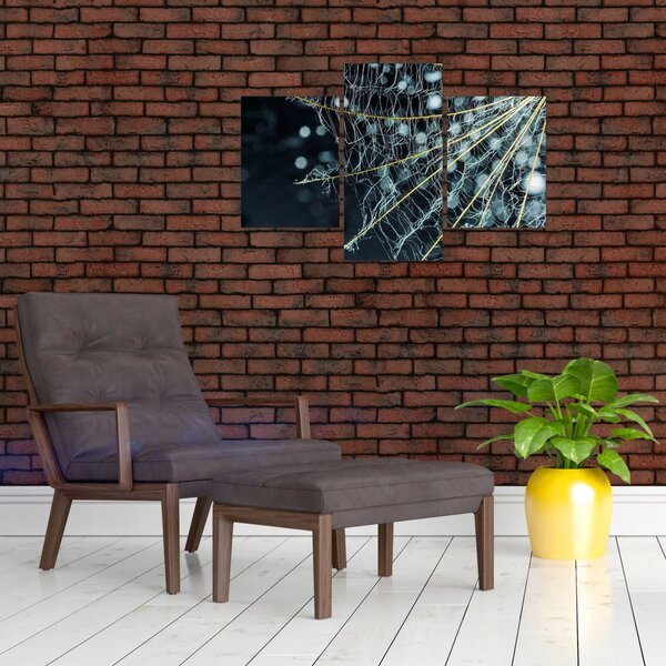 Kép - Virág pókhálóval (90x60 cm)