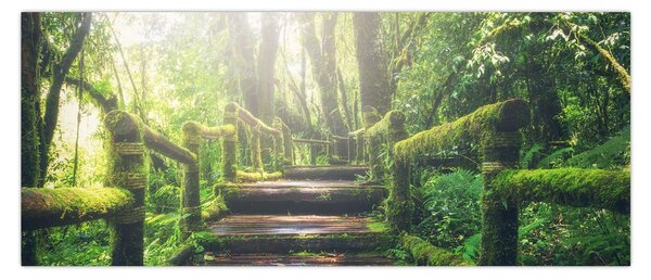 Kép - falépcsők az erdőben (120x50 cm)