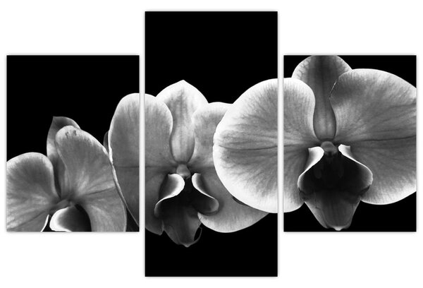 Egy orchidea virág képe (90x60 cm)