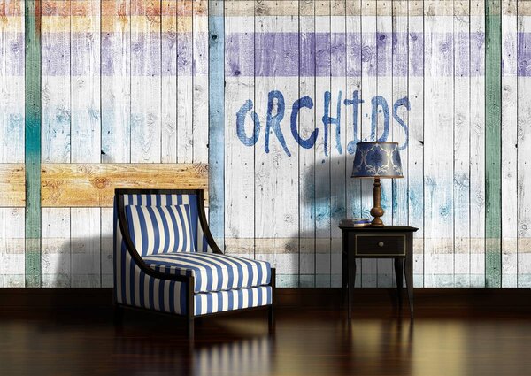 Fotótapéta - Orchideák (152,5x104 cm)