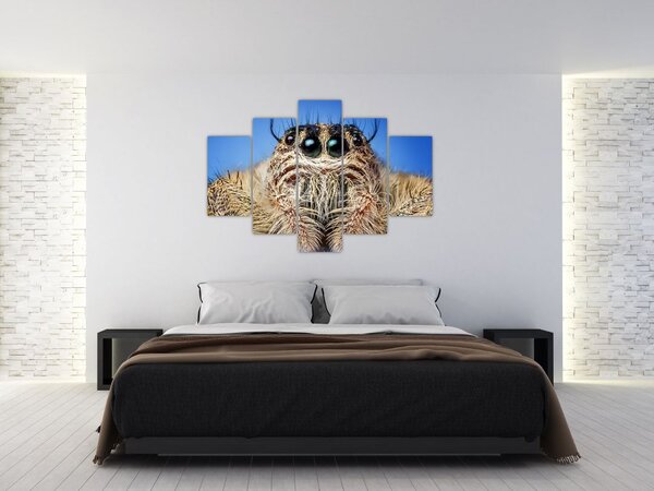 A pók részletének képe (150x105 cm)