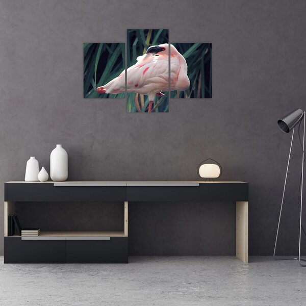 Kép - Flamingó (90x60 cm)