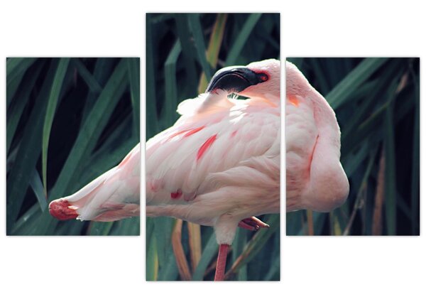 Kép - Flamingó (90x60 cm)