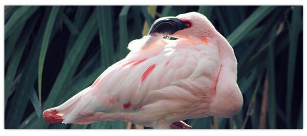 Kép - Flamingó (120x50 cm)