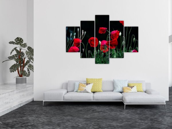 Kép - Pipacsok tánca (150x105 cm)