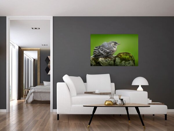 Kép - Légykapó (90x60 cm)
