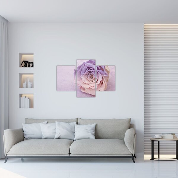 Egy rózsa virág részlete (90x60 cm)