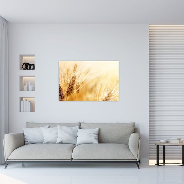 Kép - részlet gabona (90x60 cm)