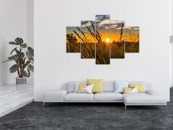 A mező naplementekor képe (150x105 cm)