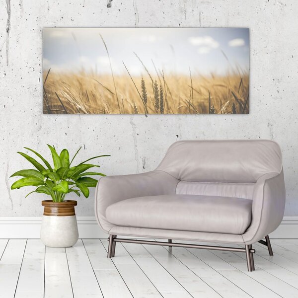 A gabona képe (120x50 cm)