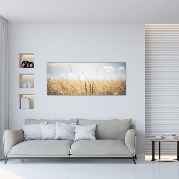 A gabona képe (120x50 cm)