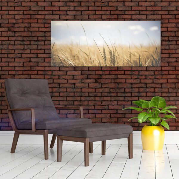 A gabona képe (120x50 cm)