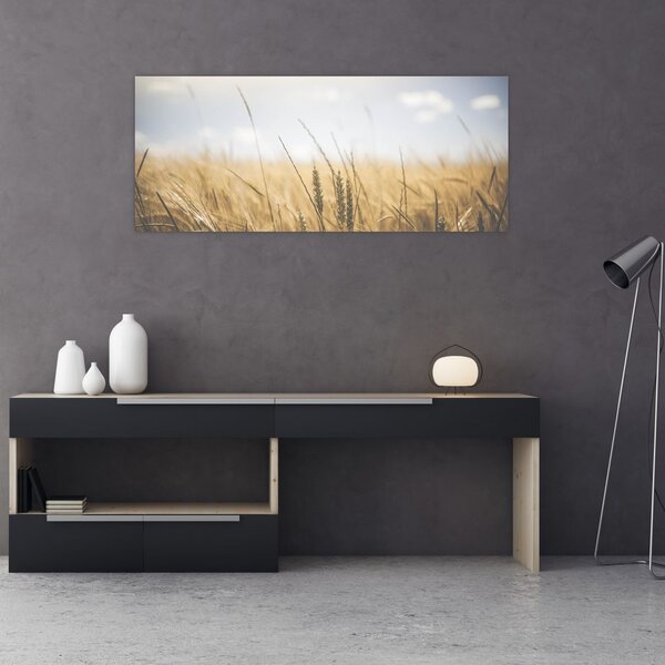 A gabona képe (120x50 cm)