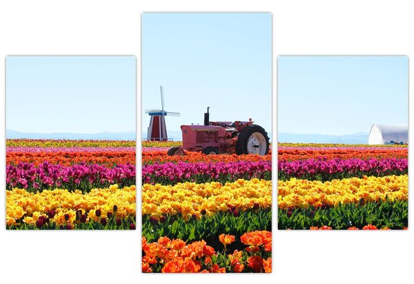 Tulipánfarm képe (90x60 cm)