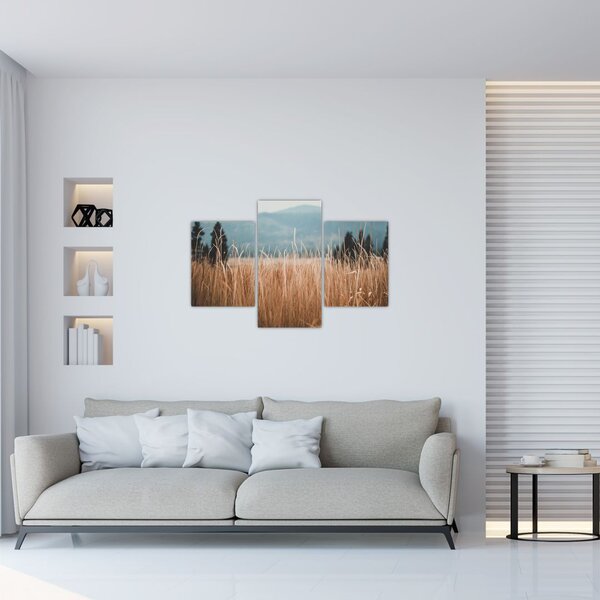 Kép - réti növényzet részlete (90x60 cm)