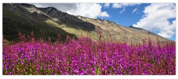 Hegyi rét tája (120x50 cm)