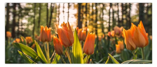 Kép - tulipánok (120x50 cm)