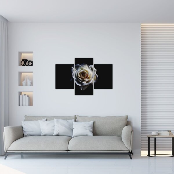 Fehér rózsa képe (90x60 cm)