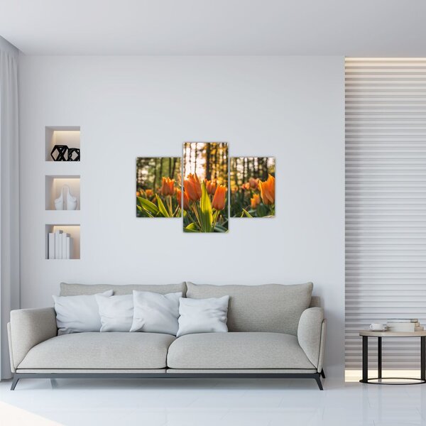 Kép - tulipánok (90x60 cm)
