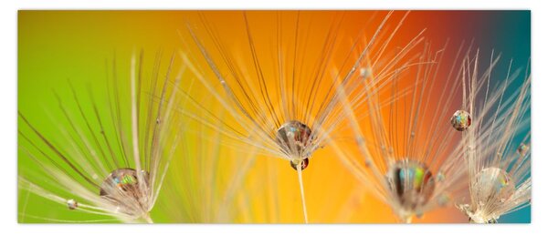 Cseppek a növényen képe (120x50 cm)