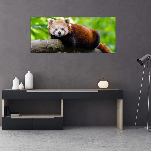 A vörös panda képe (120x50 cm)