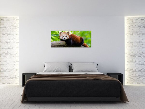 A vörös panda képe (120x50 cm)