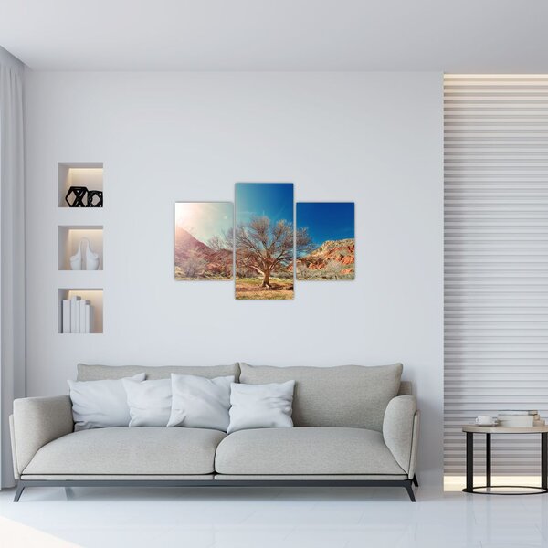 Fa a sivatagban képe (90x60 cm)