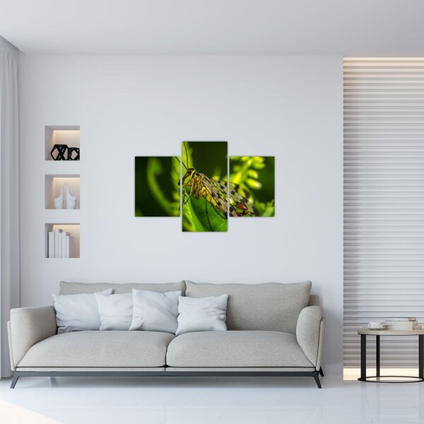 Rovar képe (90x60 cm)