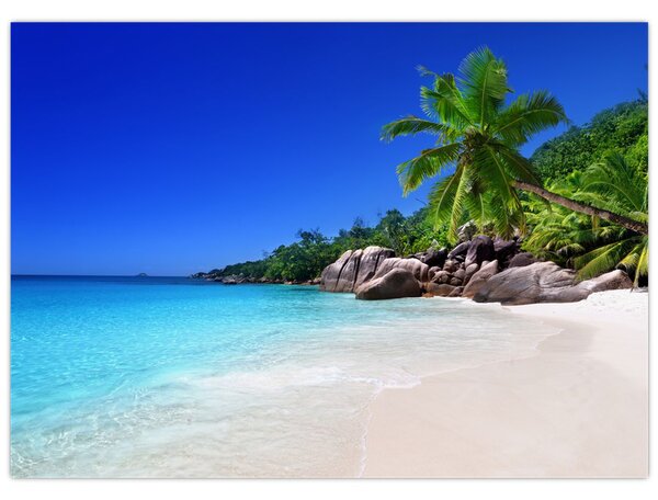 Kép a strandról a Praslin szigeten (70x50 cm)