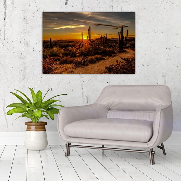 Kép - A nap vége az arizonai sivatagban (90x60 cm)