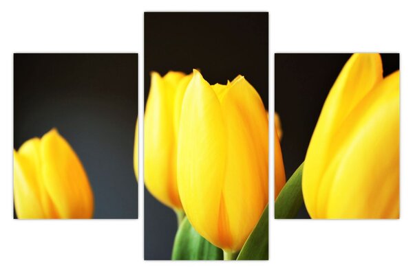 Tulipán képe (90x60 cm)