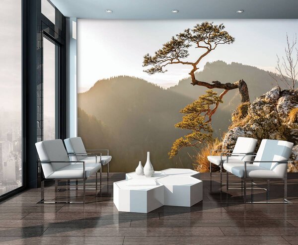 Fotótapéta - Pieniny hegy (152,5x104 cm)